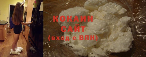 сатива Михайловка