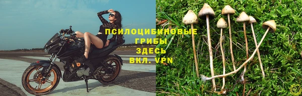 прущая мука Михайлов