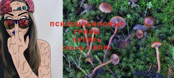 сатива Михайловка